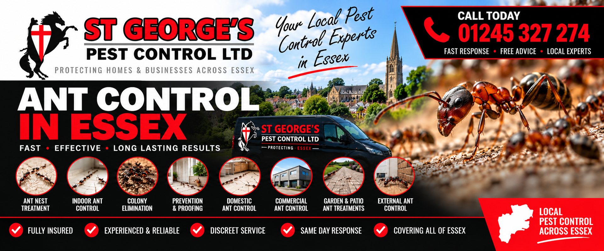 Flying Ants: What They Are and What to Do - St Georges Pest Control Ltd, Essex