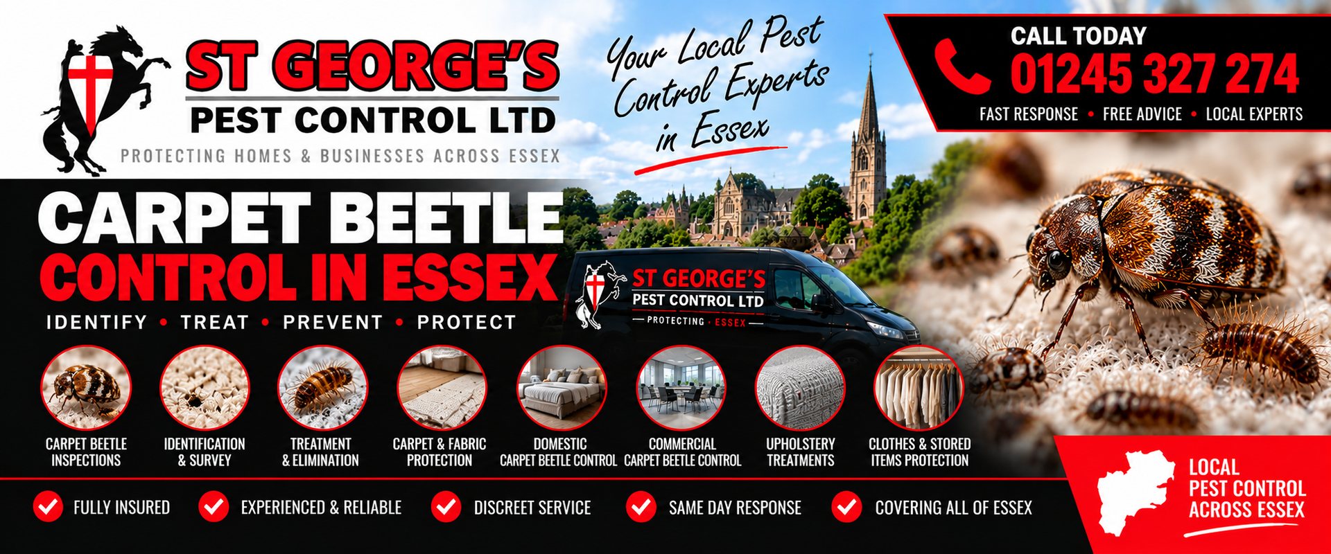 How to Stop Carpet Beetles Coming Back - St Georges Pest Control Ltd, Essex