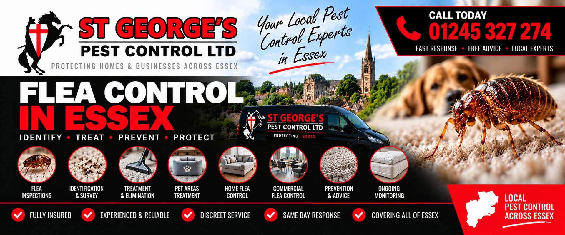 Why Fleas Keep Coming Back After Treatment - St Georges Pest Control Ltd, Essex