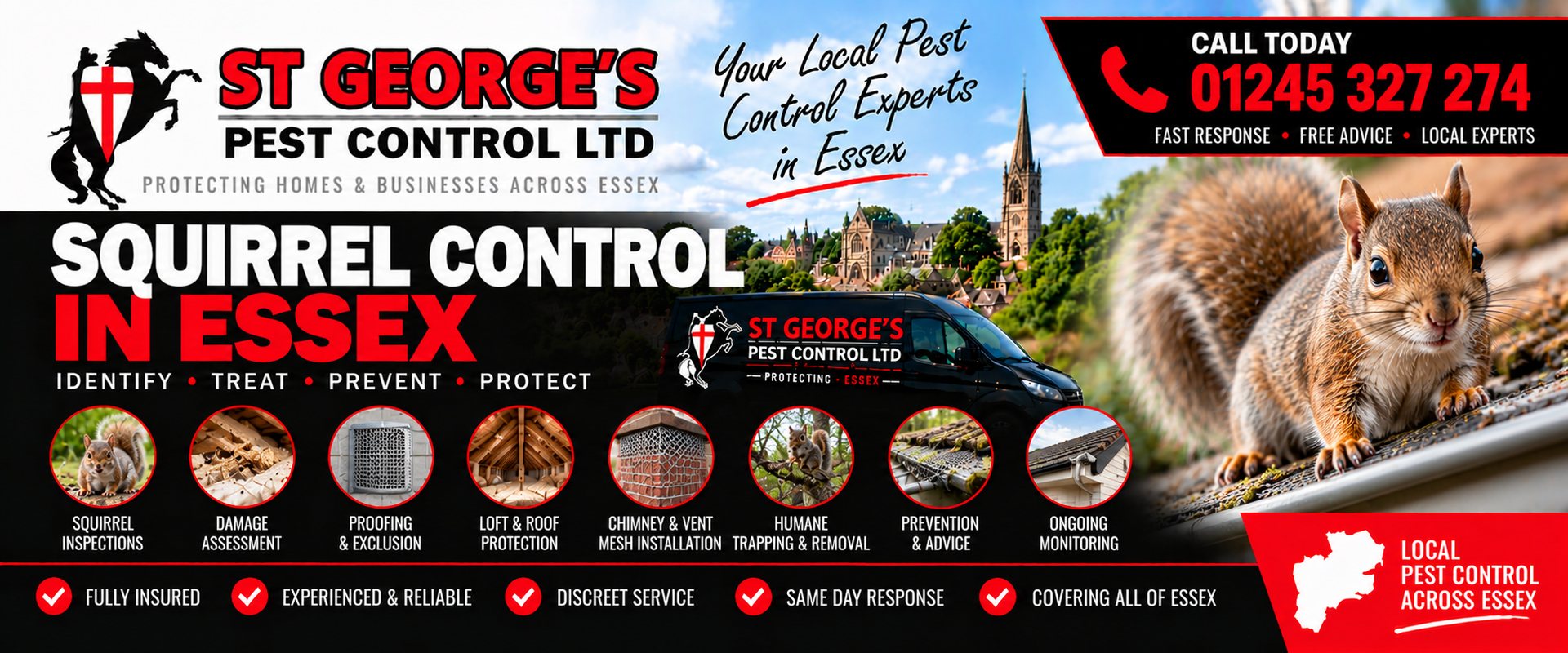 Grey Squirrels in the Loft: What to Do - St Georges Pest Control Ltd, Essex